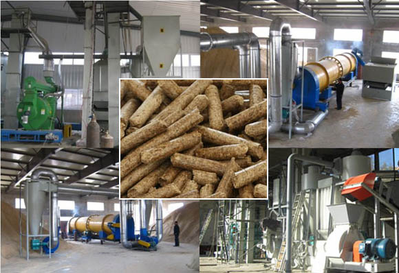 Development Of Wood Pellet Plant In 15