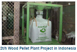 2t/h Wood pellet plant in Indonesia