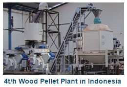 4t/h Wood Pellet Plant in Indonesia