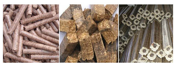 Biomass fuel